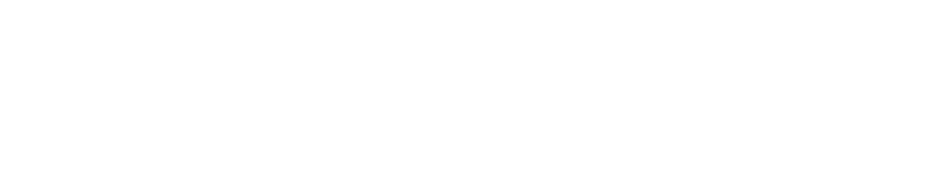 Fenix Aesthetic Home